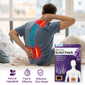 Patch Anti-Douleur Total – Dos, Jambes, Hanches & Tout le Corps Soulagé Rapidement (boîtes de 8 patch)